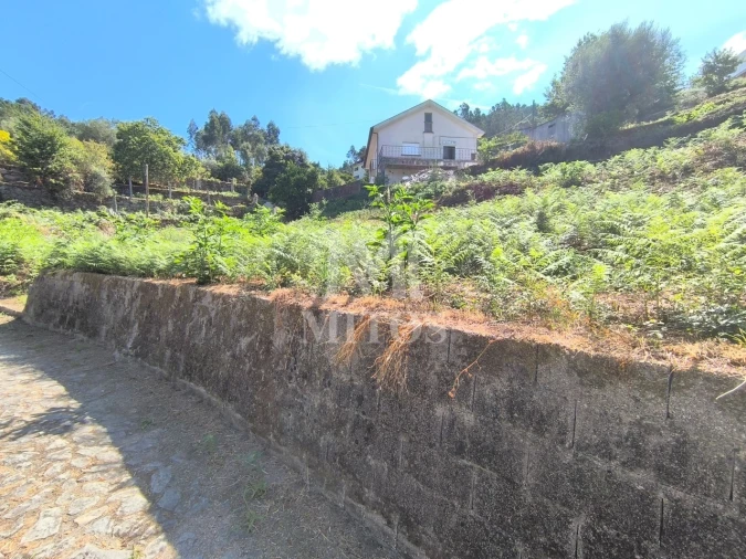 Terreno para Venda em Subportela, Deocriste e Portela Susã Foto 9
