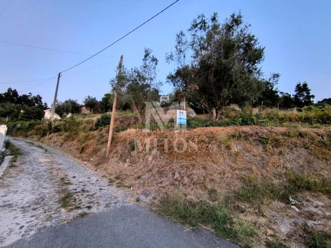 Terreno para Venda em Subportela, Deocriste e Portela Susã Foto 10