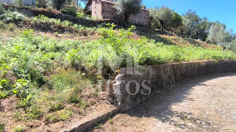 Terreno para Venda em Subportela, Deocriste e Portela Susã