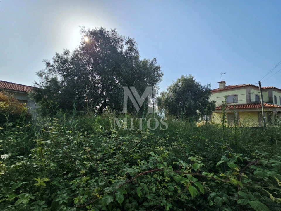 Terreno para Venda em Lanheses Foto 6