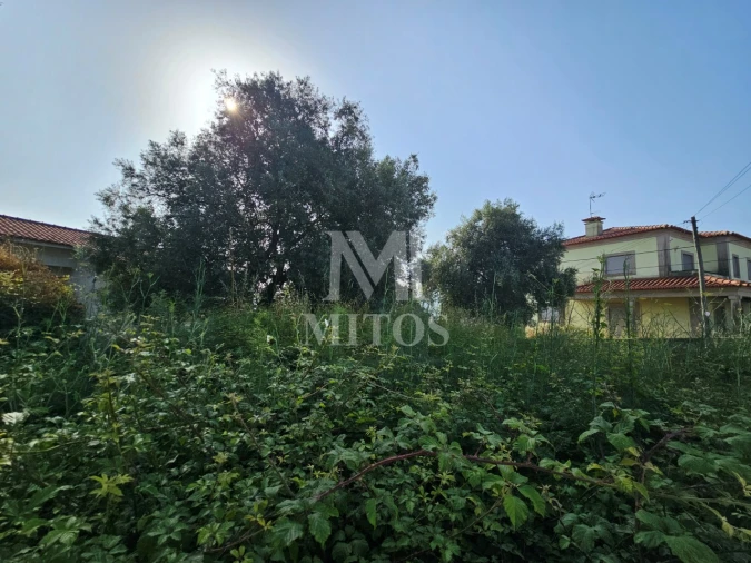 Terreno para Venda em Lanheses Foto 6