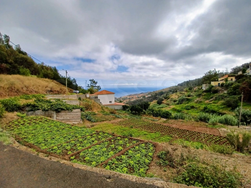 Terreno para Venda em Caniço Foto 3
