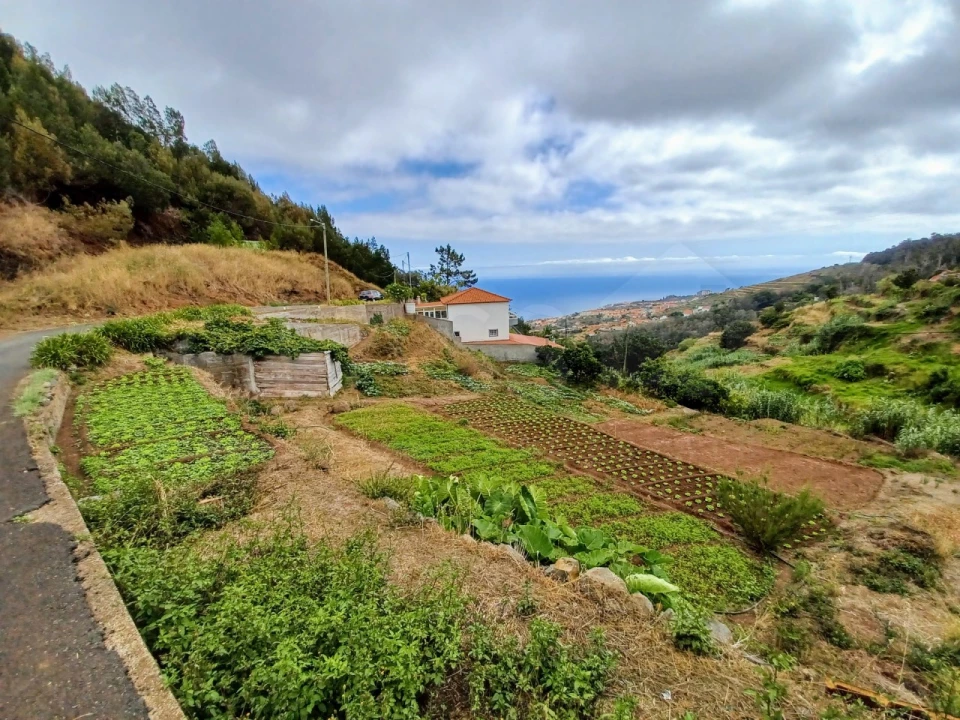 Terreno para Venda em Caniço Foto 12