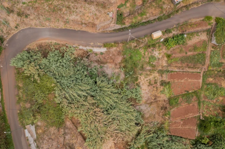 Terreno para Venda em Caniço Foto 2