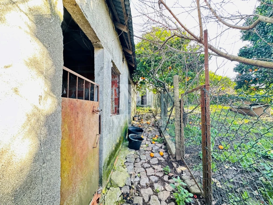 Moradia T3 para Venda em Santa Marta de Portuzelo Foto 18