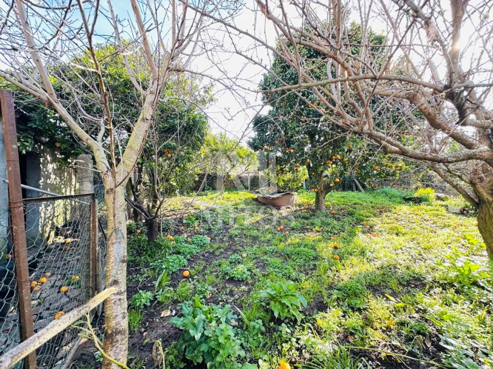 Moradia T3 para Venda em Santa Marta de Portuzelo Foto 20