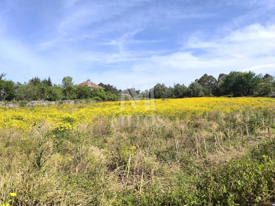 Terreno para Venda em Mazarefes e Vila Fria Foto 5