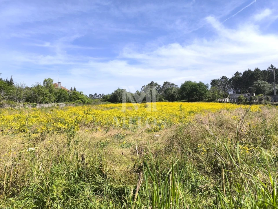 Terreno para Venda em Mazarefes e Vila Fria Foto 6