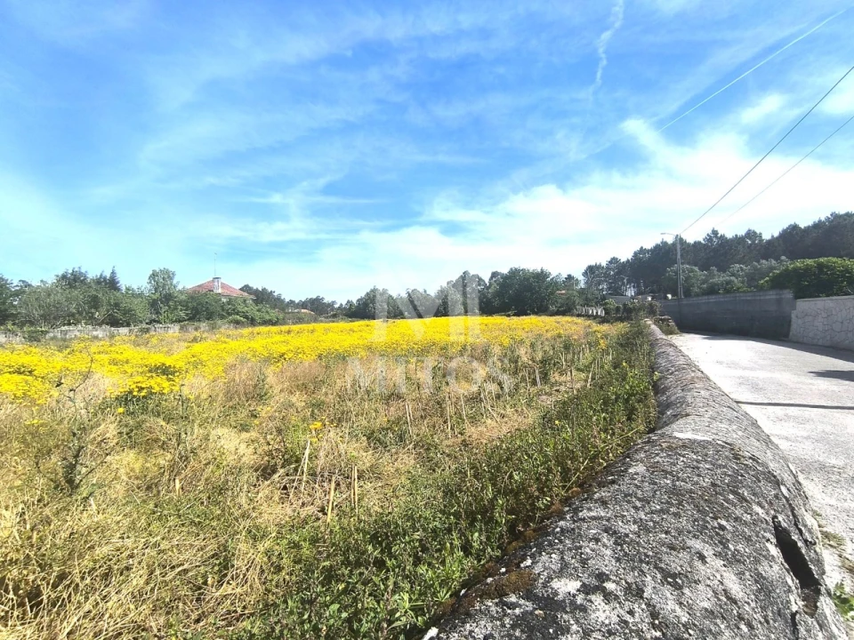 Terreno para Venda em Mazarefes e Vila Fria Foto 1