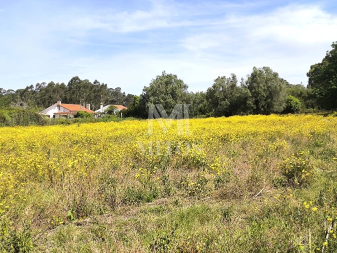 Terreno para Venda em Mazarefes e Vila Fria Foto 3