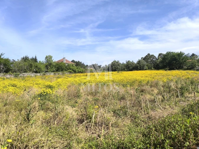 Terreno para Venda em Mazarefes e Vila Fria Foto 5