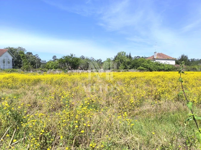 Terreno para Venda em Mazarefes e Vila Fria Foto 7