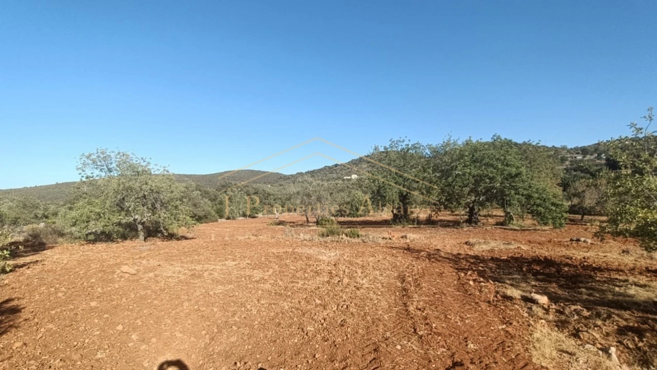 Terreno para Venda em Loule (São Sebastião) Foto 5