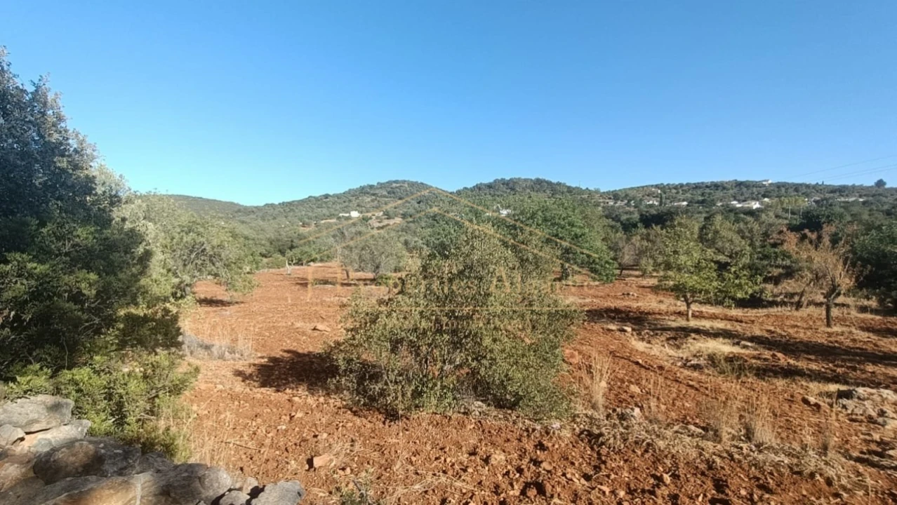Terreno para Venda em Loule (São Sebastião) Foto 6