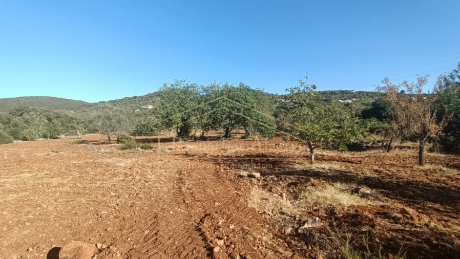 Terreno para Venda em Loule (São Sebastião)