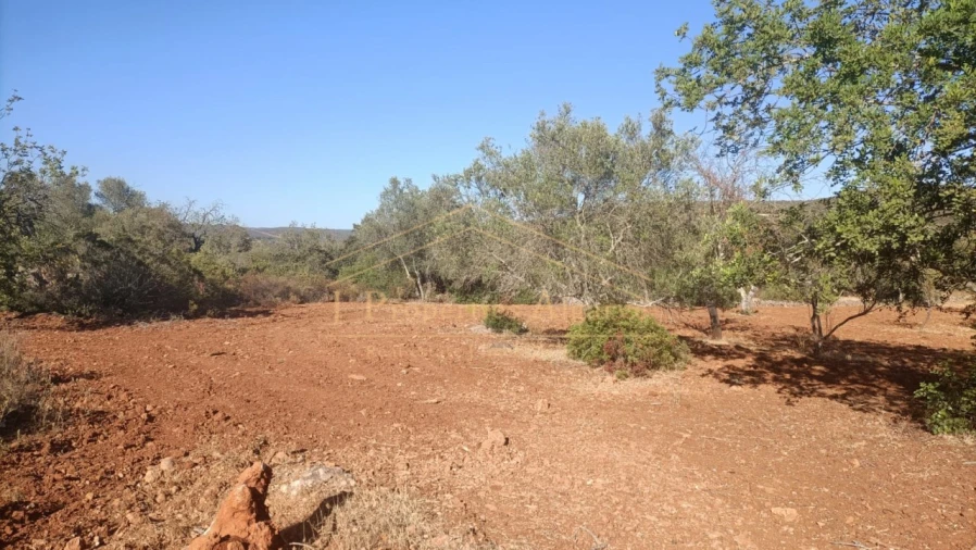 Terreno para Venda em Loule (São Sebastião) Foto 2