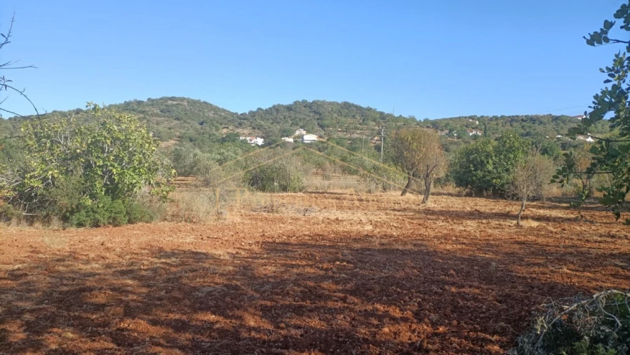 Terreno para Venda em Loule (São Sebastião) Foto 4