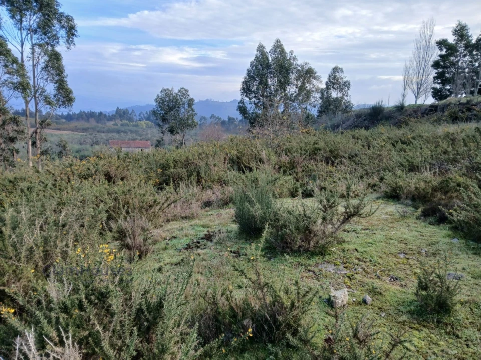 Terreno para Venda em Torrados e Sousa Foto 6