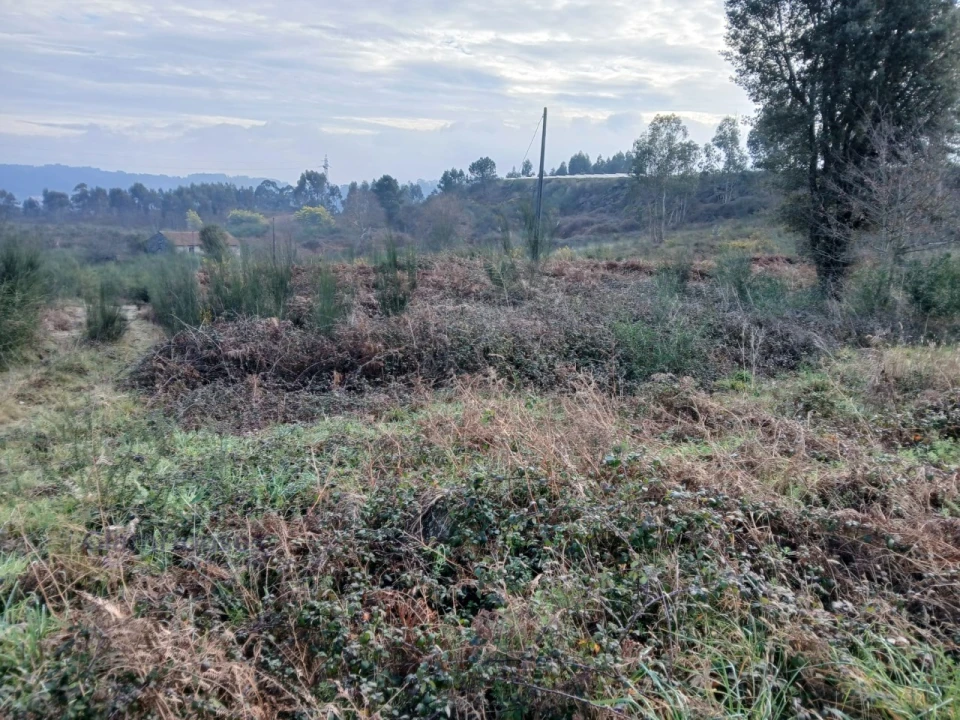 Terreno para Venda em Torrados e Sousa Foto 9
