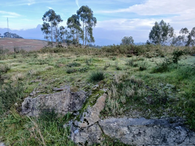 Terreno para Venda em Torrados e Sousa Foto 7