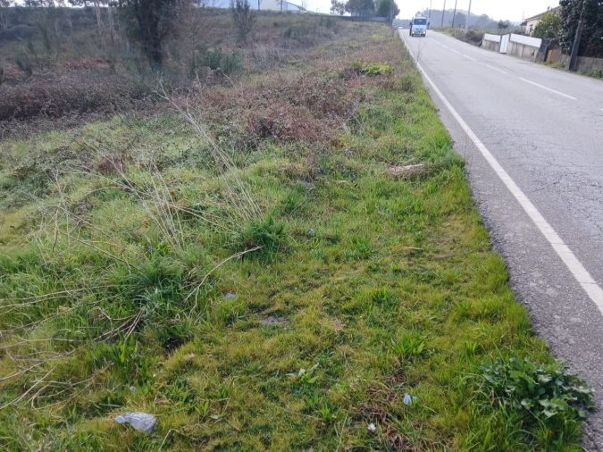 Terreno para Venda em Torrados e Sousa Foto 10