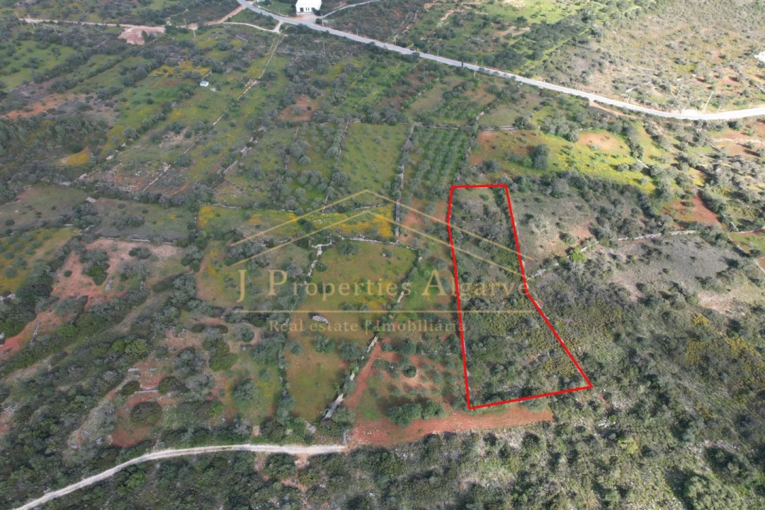 Terreno para Venda em Loule (São Sebastião) Foto 1