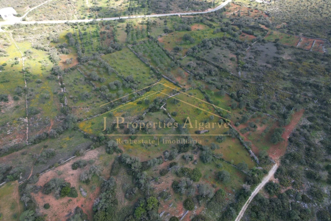 Terreno para Venda em Loule (São Sebastião) Foto 2