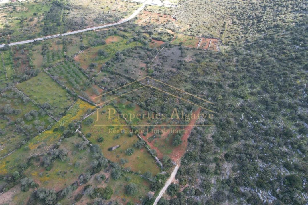 Terreno para Venda em Loule (São Sebastião) Foto 6
