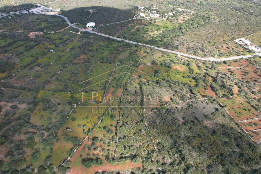 Terreno para Venda em Loule (São Sebastião) Foto 7