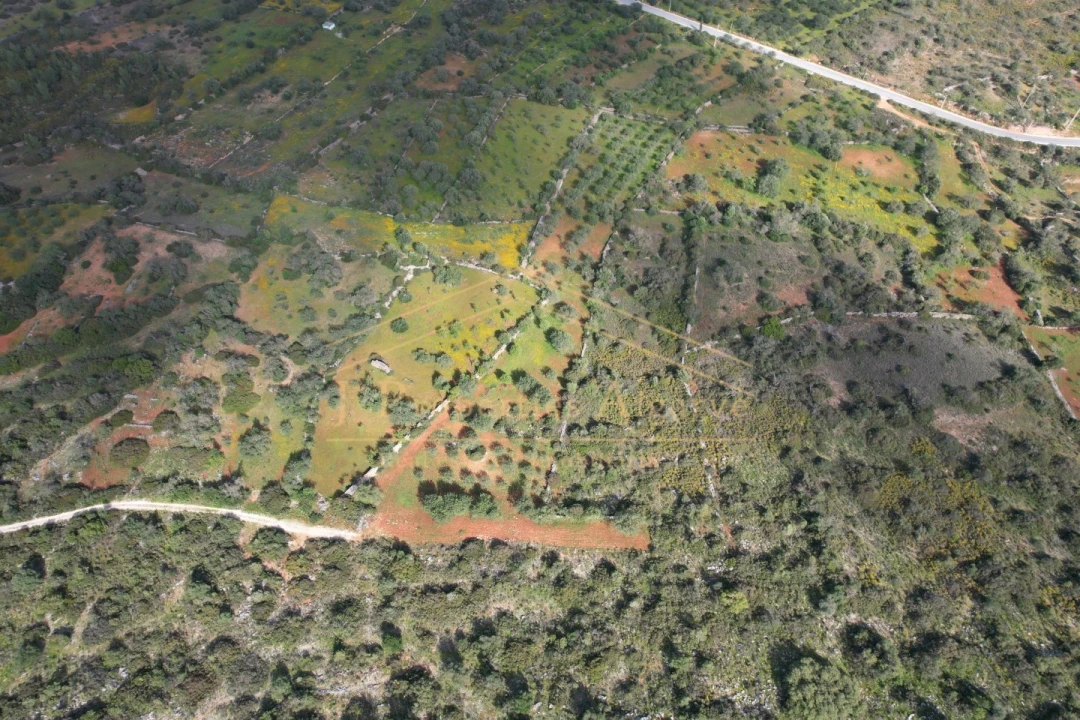 Terreno para Venda em Loule (São Sebastião) Foto 10
