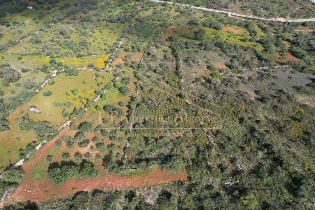 Terreno para Venda em Loule (São Sebastião) Foto 13