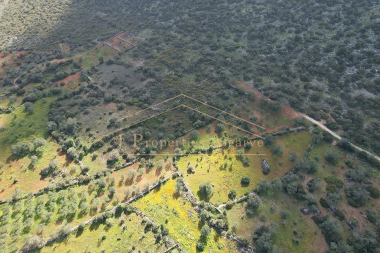 Terreno para Venda em Loule (São Sebastião) Foto 3