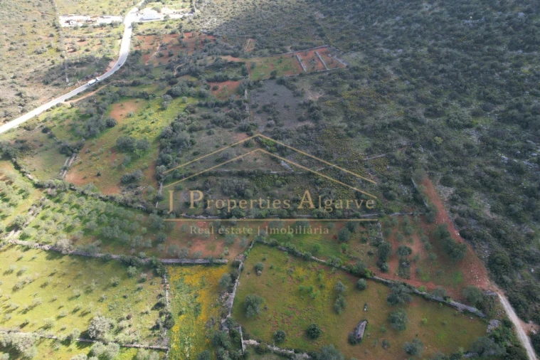 Terreno para Venda em Loule (São Sebastião) Foto 4