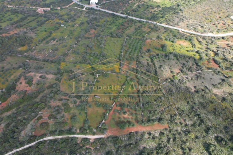 Terreno para Venda em Loule (São Sebastião) Foto 5