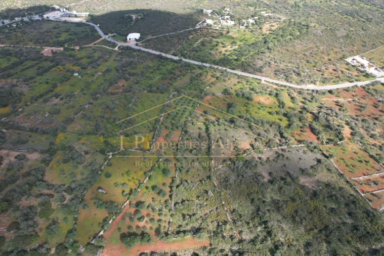 Terreno para Venda em Loule (São Sebastião) Foto 7
