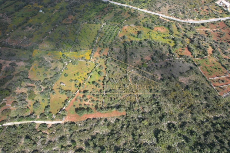 Terreno para Venda em Loule (São Sebastião) Foto 11