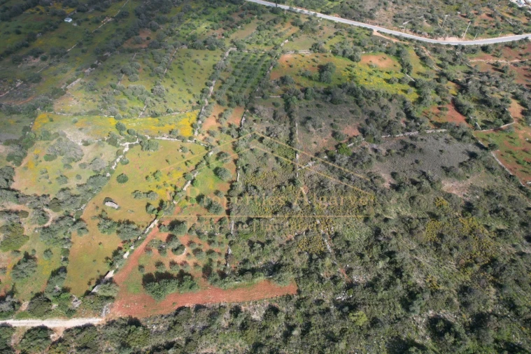 Terreno para Venda em Loule (São Sebastião) Foto 12