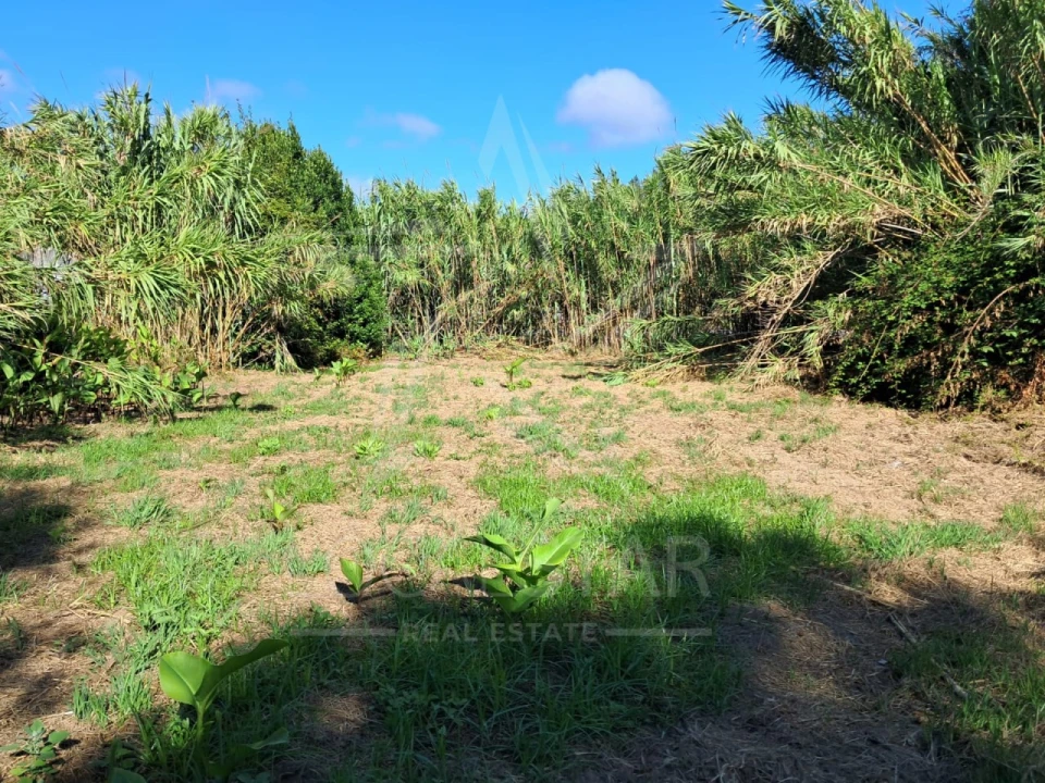 Terreno para Venda em Tornada e Salir do Porto Foto 2