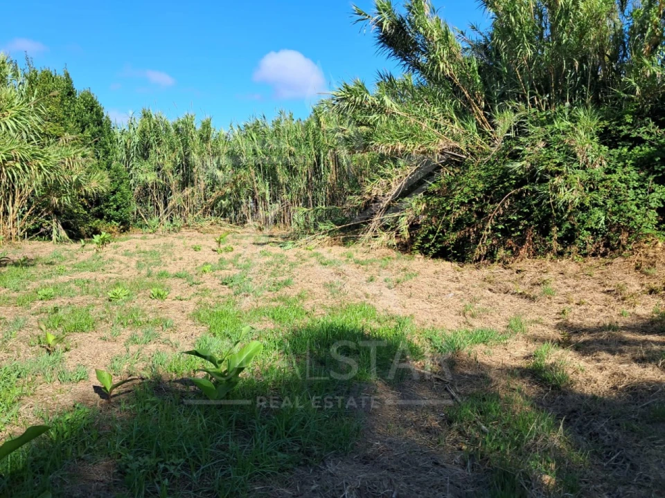 Terreno para Venda em Tornada e Salir do Porto Foto 5
