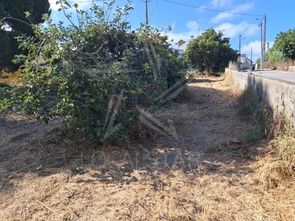 Terreno para Venda em Tornada e Salir do Porto Foto 9