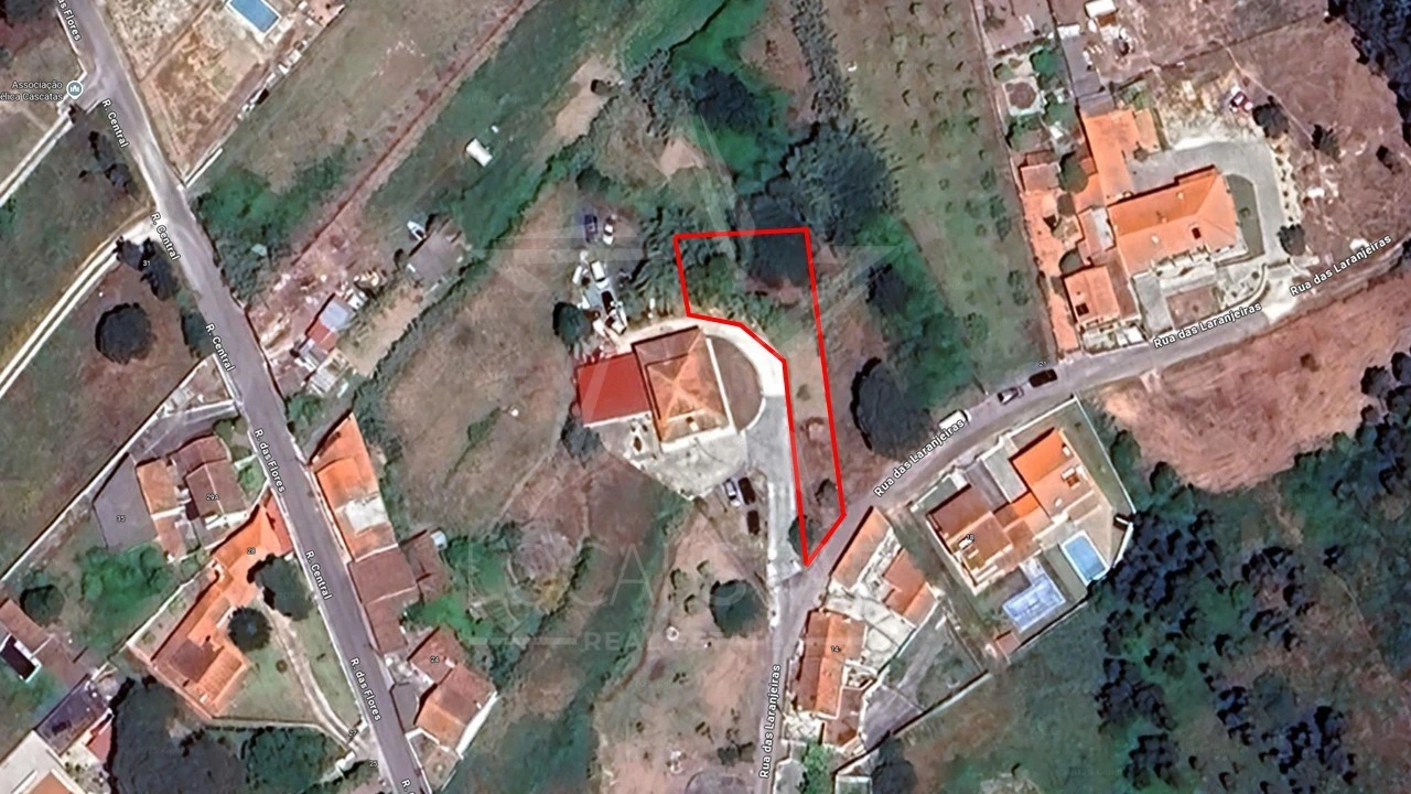 Terreno para Venda em Tornada e Salir do Porto Foto 3