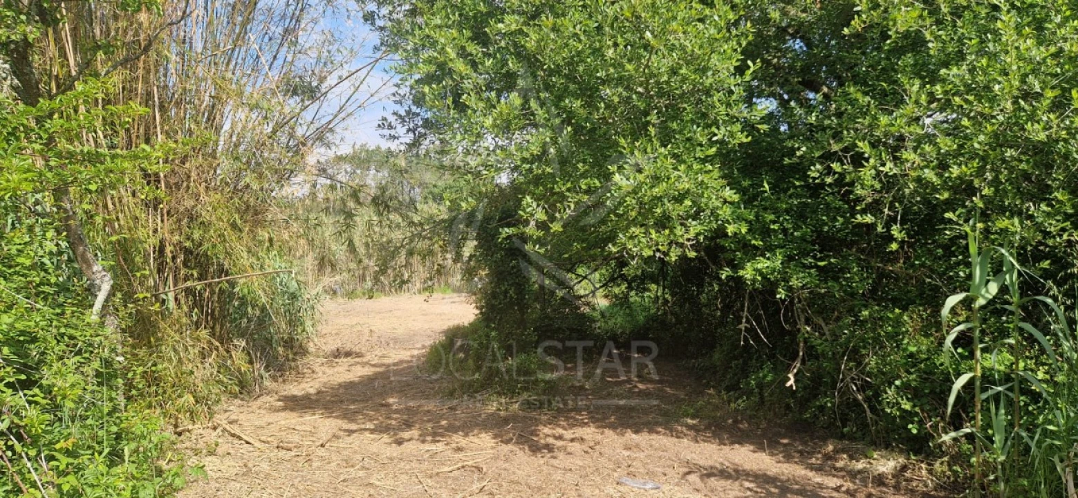 Terreno para Venda em Tornada e Salir do Porto Foto 24
