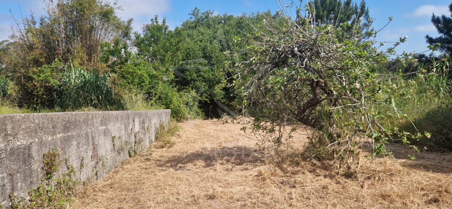 Terreno para Venda em Tornada e Salir do Porto Foto 36