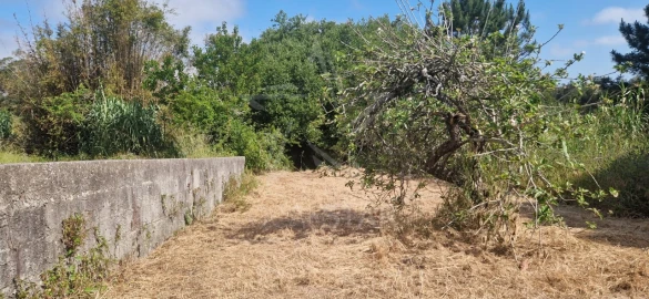 Terreno para Venda em Tornada e Salir do Porto