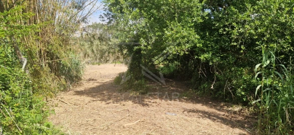 Terreno para Venda em Tornada e Salir do Porto