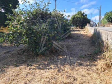 Terreno para Venda em Tornada e Salir do Porto