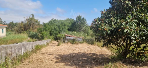 Terreno para Venda em Tornada e Salir do Porto