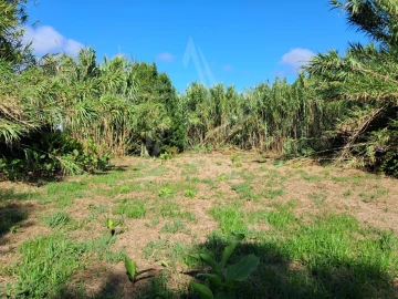 Terreno para Venda em Tornada e Salir do Porto