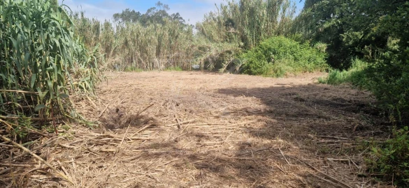 Terreno para Venda em Tornada e Salir do Porto