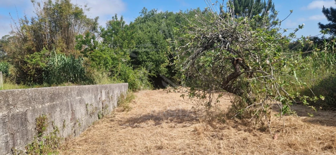 Terreno para Venda em Tornada e Salir do Porto Foto 23